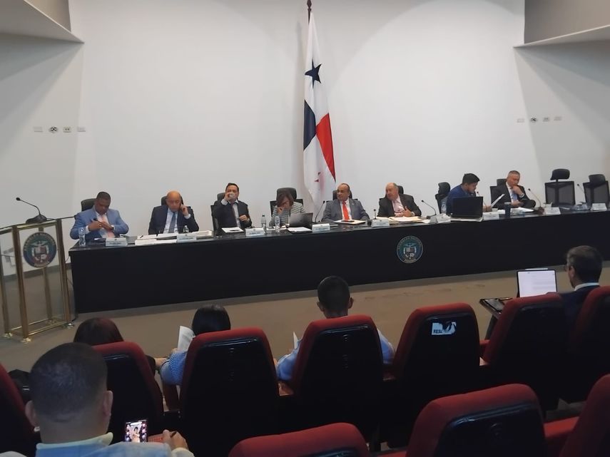 Los diputados lograron consensos en al menos 20 artículos. Los diputados lograron consensos en al menos 20 artículos.