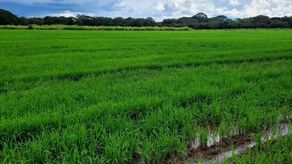 MIDA: Panamá mantiene 78