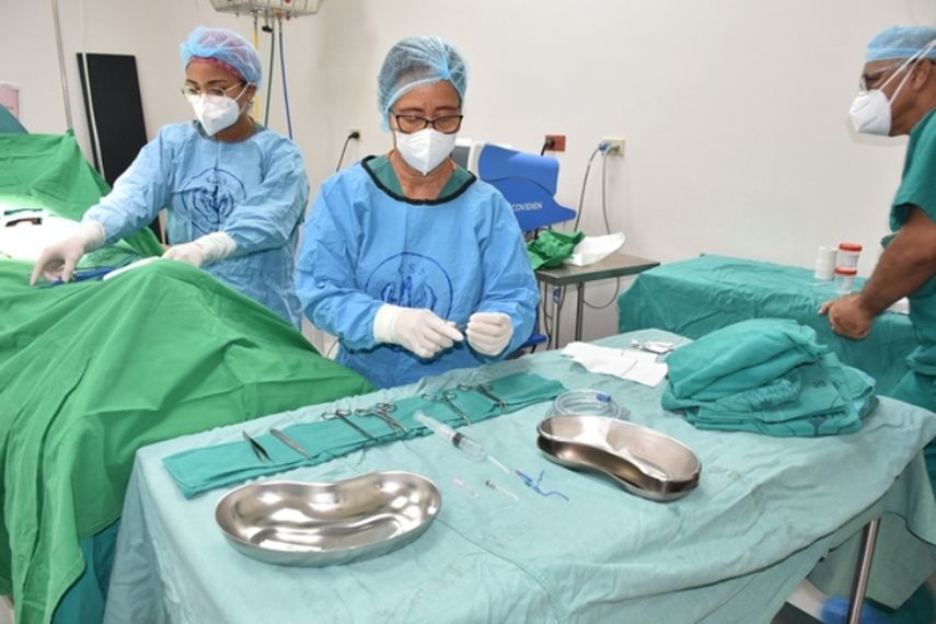 CSS cerró el año con más de cinco millones de consultas.