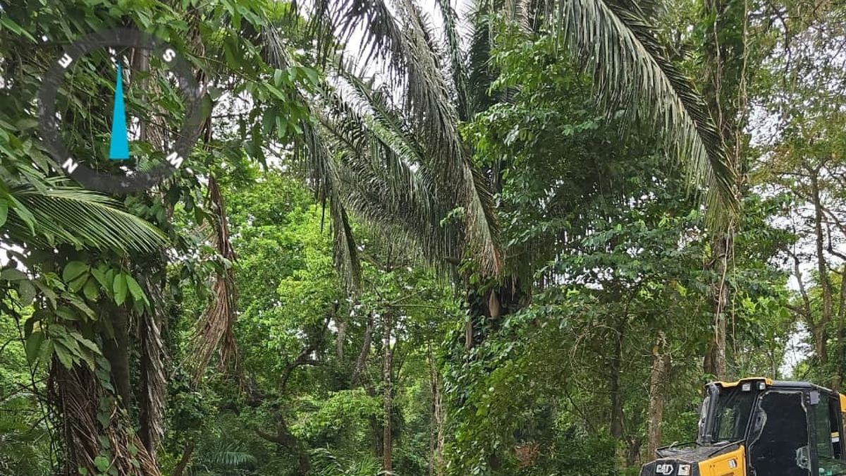 En atención a una denuncia ciudadana relacionada con actividades de desbroce y tala de vegetación dentro del Área Protegida Lago Gatún, específicamente en el sector de Villa Atlántica, el Ministerio de Ambiente (MiAMBIENTE), a través de la Dirección Regional de Colón, ordenó la suspensión de las actividades y procedió a retener la maquinaria En atención a una denuncia ciudadana relacionada con actividades de desbroce y tala de vegetación dentro del Área Protegida Lago Gatún, específicamente en el sector de Villa Atlántica, el Ministerio de Ambiente (MiAMBIENTE), a través de la Dirección Regional de Colón, ordenó la suspensión de las actividades y procedió a retener la maquinaria