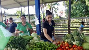 Conozca donde habrá Agroferias del IMA desde el 26 hasta 28 de septiembre