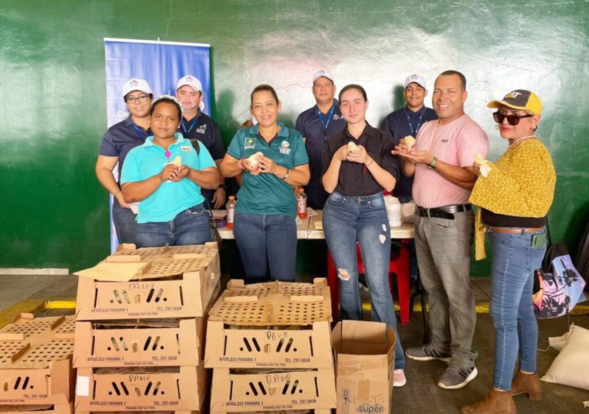 MIDA y la Caja de Ahorros, Ángel Pérez entregaron pollos de color blanco, de rápido crecimiento, a varias escuelas de la provincia de Chiriquí. MIDA y la Caja de Ahorros, Ángel Pérez entregaron pollos de color blanco, de rápido crecimiento, a varias escuelas de la provincia de Chiriquí.