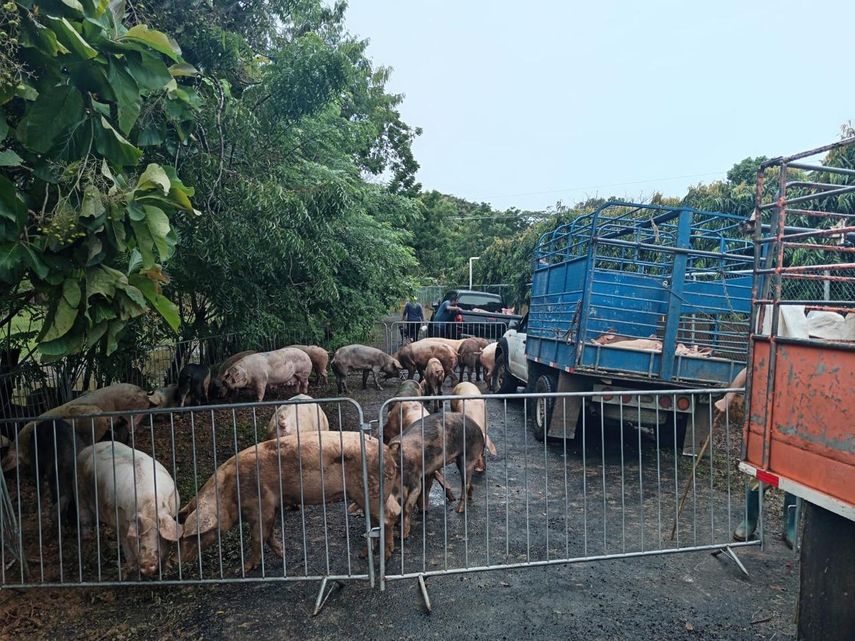 MIDA conforma comisiones para evaluar afectaciones por lluvias al sector productivo