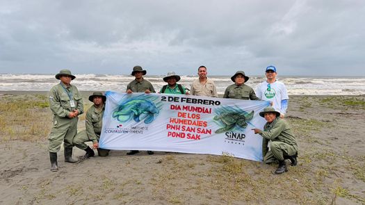 El año 2025 se consolidó como una de las mejores temporadas para la conservación de tortugas marinas en el Parque Nacional Humedal San San Pond Sak, en la provincia de Bocas del Toro, tras la liberación de 14,347 neonatos, como resultado de los esfuerzos de protección y monitoreo en esta área protegida.