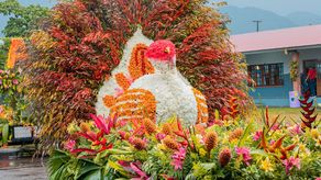 Parada de las Flores y el Café se realizará del 12 al 16 de septiembre en Tierras Altas