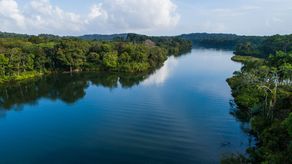 &nbsp;Representantes de 196 países y de la Unión Europea se reunirán en Panamá del 1 al 5 de diciembre de 2025 para examinar sus esfuerzos contra la desertificación, la degradación de las tierras y la sequía en el marco de la Convención de las Naciones Unidas de Lucha contra la Desertificación (CNULD), una de las tres convenciones de Río, junto con la biodiversidad y el clima.