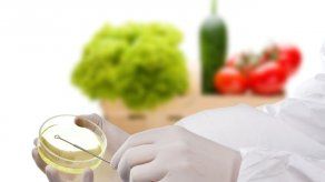 Investigadores proponen método para reducir bacteria E.coli en alimentos