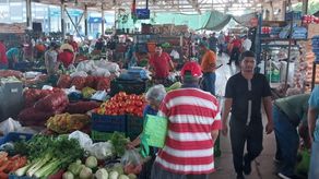 La reactivación favorecido el movimiento en este mercado en David, que además de la venta de productos frescos ofrece restaurantes, sala de belleza, farmacia, ventas de artesanías, Agro Tienda del IMA, entre otros.
