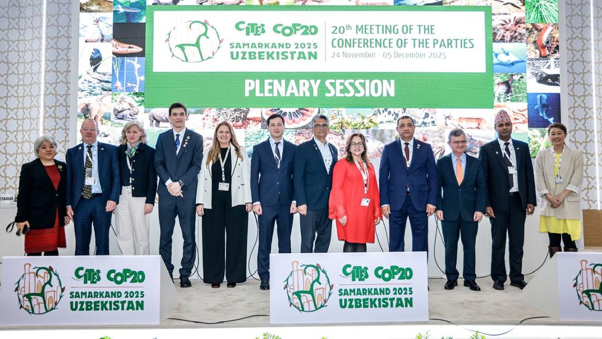 Panamá ejerció un liderazgo destacado durante su participación en la Vigésima Conferencia de las Partes (CoP20) de la Convención sobre el Comercio Internacional de Especies Amenazadas de Fauna y Flora Silvestres (CITES), celebrada en Samarcanda, Uzbekistán. Panamá ejerció un liderazgo destacado durante su participación en la Vigésima Conferencia de las Partes (CoP20) de la Convención sobre el Comercio Internacional de Especies Amenazadas de Fauna y Flora Silvestres (CITES), celebrada en Samarcanda, Uzbekistán.