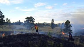 MiAmbiente lanza campaña de prevención de incendios de masa vegetal