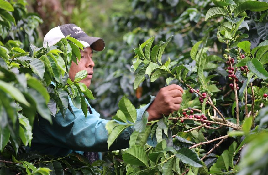 Los enfoques tradicionales no bastarán para que los productores se adapten y prosperen a medida que se intensifican los efectos de la crisis climática en la producción de alimento.