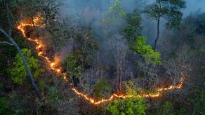 Panamá refuerza estrategia nacional contra incendios forestales para 2026