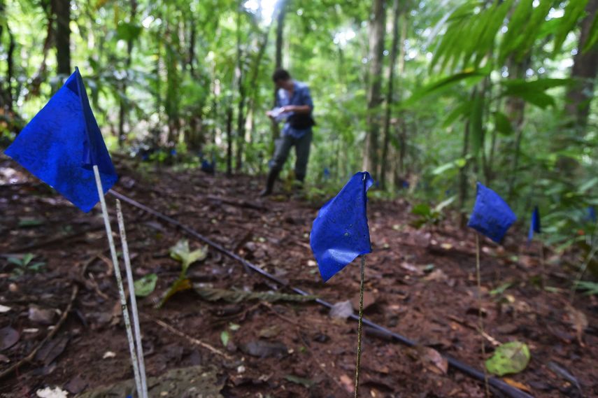 Smithsonian Panamá dice que no tolerará acoso sexual