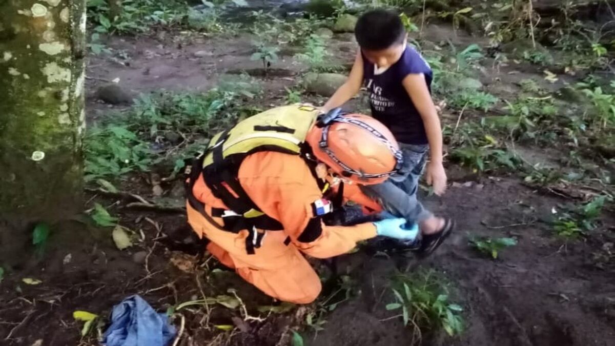 Estamentos de seguridad rescatan a dos menores de edad en zona montañosa