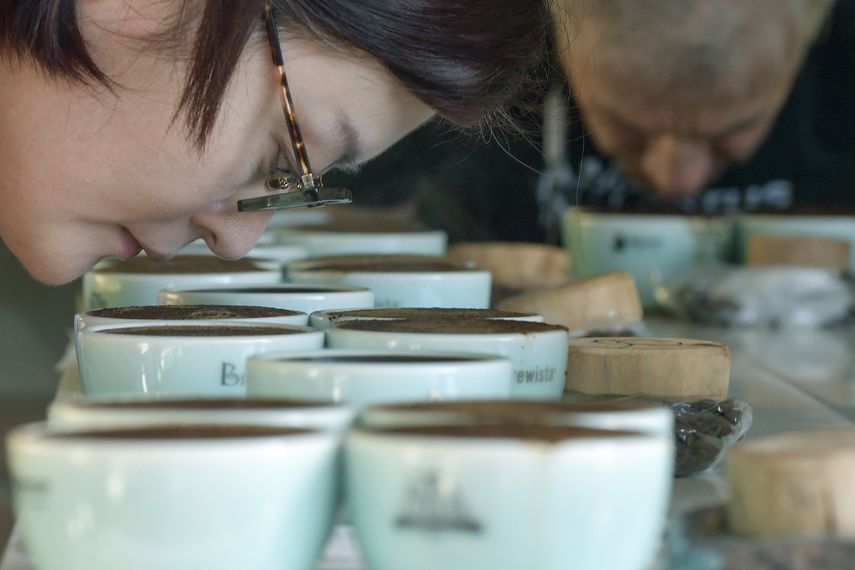 Panamá será sede del World of Coffee 2026: el epicentro del café de especialidad Panamá será sede del World of Coffee 2026: el epicentro del café de especialidad