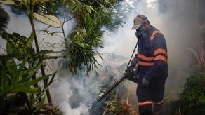 Panamá reporta 9 mil casos de dengue y 15 defunciones en 2024