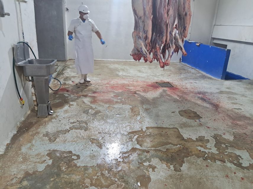 Minsa ordena cierre temporal del matadero municipal de Colón
