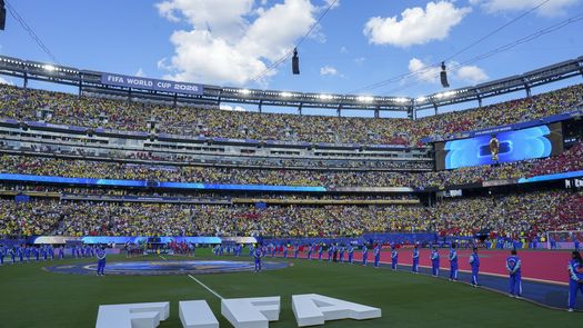 La FIFA vende por pedazos de colección el césped de la final del Mundial La FIFA vende por pedazos de colección el césped de la final del Mundial