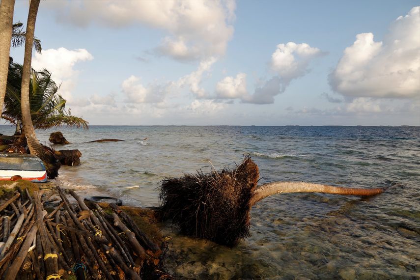 (MiAMBIENTE) anunció que abrió el proceso de consulta pública del borrador de la Ley Marco de Cambio Climático, un proyecto que busca establecer la base legal para que todas las decisiones futuras del país se alineen con la protección del clima y la biodiversidad. (MiAMBIENTE) anunció que abrió el proceso de consulta pública del borrador de la Ley Marco de Cambio Climático, un proyecto que busca establecer la base legal para que todas las decisiones futuras del país se alineen con la protección del clima y la biodiversidad.