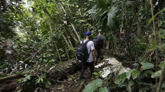 Integración, vivienda y protección, las principales necesidades de migrantes venezolanos