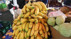 Conozca el calendario de las agroferias del IMA para este fin de semana