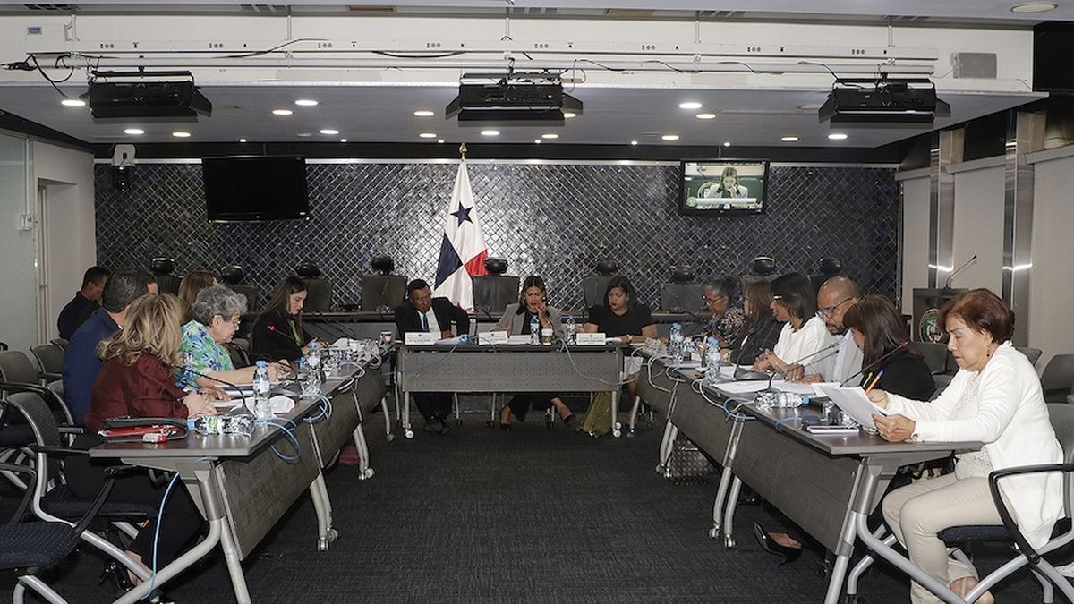 Diputados han conformado una mesa técnica. Diputados han conformado una mesa técnica.