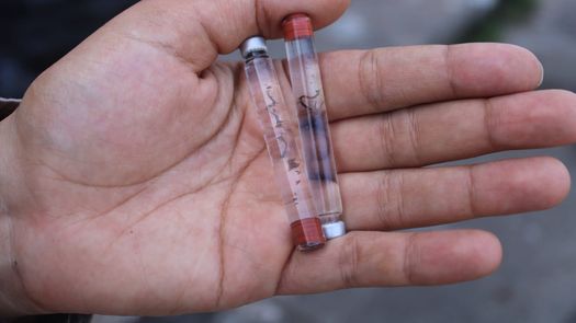 El Ministerio de Salud (Minsa) informó que hasta la semana epidemiológica No. 11, correspondiente del 15 al 21 de marzo de 2026, se han registrado 1,670 casos acumulados de dengue en Panamá, por lo que reiteró el llamado a la población a reforzar las medidas de prevención y eliminar los criaderos del mosquito transmisor. El Ministerio de Salud (Minsa) informó que hasta la semana epidemiológica No. 11, correspondiente del 15 al 21 de marzo de 2026, se han registrado 1,670 casos acumulados de dengue en Panamá, por lo que reiteró el llamado a la población a reforzar las medidas de prevención y eliminar los criaderos del mosquito transmisor.