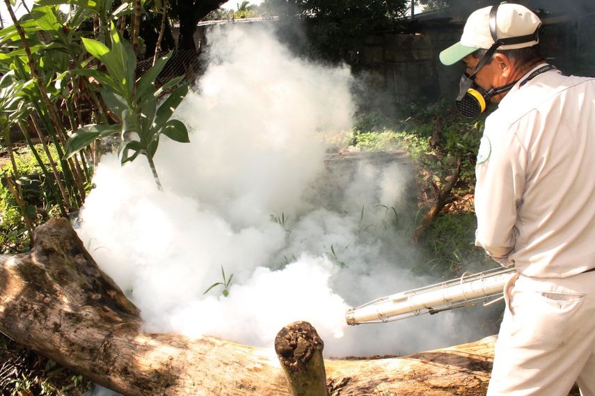 La llegada de las lluvias ha provocado unos 75 casos de dengue clásico causados por el mosquito aedes aegypti en al provincia de Chiriquí.