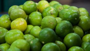 Francia abre sus puertas a productos agrícolas panameños