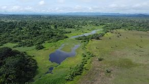 Complejo de Humedales de Matusagaratí se convierte en el sexto sitio Ramsar en Panamá