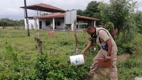 El Minsa reiteró a la población la importancia de mantener medidas de prevención como el lavado frecuente de manos, cubrirse al toser, vacunarse según el esquema nacional, consumir agua potable y mantener entornos limpios.