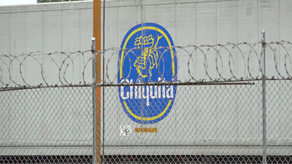 Acuerdo entre Gobierno y Chiquita tendrá vigencia inicial de 24 meses