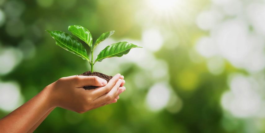 Día Mundial del Medio Ambiente: por qué se conmemora hoy, 5 de junio. Día Mundial del Medio Ambiente: por qué se conmemora hoy, 5 de junio.