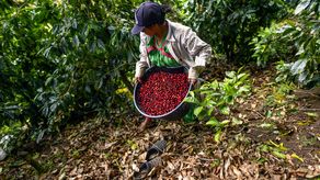 Fondo de Desarrollo Agrícola destaca como vital promover la equidad en la ruralidad