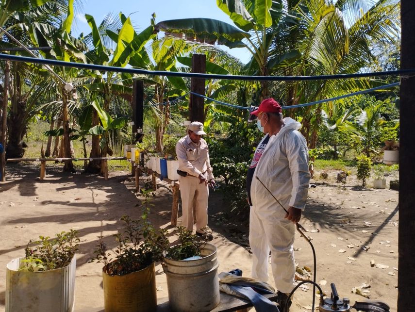 El Minsa indicó que se ha verificado la aparición de 4 nuevos casos de malaria en el distrito de Barú