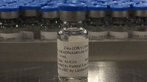 Dos vacunas experimentales contra el zika funcionan en estudios con monos