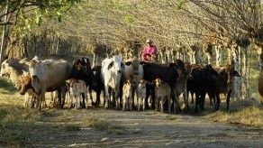 Región Central necesita fortalecer el agro, la conectividad e infraestructura