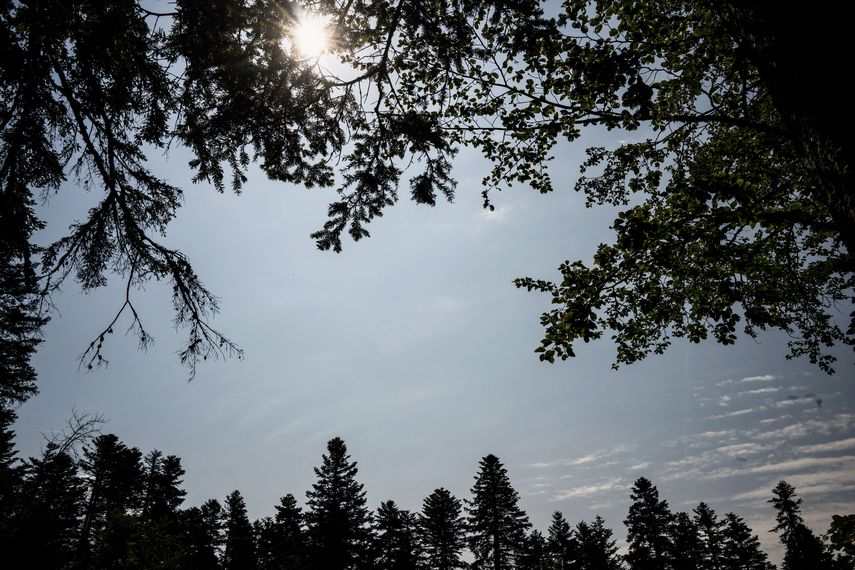Estados Unidos enfrenta juicio sobre cambio climático Estados Unidos enfrenta juicio sobre cambio climático