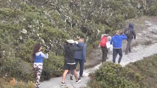 En el Parque PILA tuvo caída de múltiples árboles y parte del tendido eléctrico, mientras que en el Parque Nacional Volcán Barú la quebrada La Bruja se salió de su cauce ocasionando algunas afectaciones por el huracán Julia.