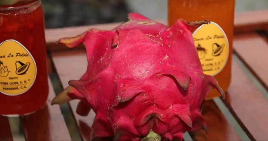 La pitahaya