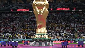 Argentinos en Qatar dispuestos a todo por ganar el Mundial