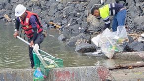 Operativo en el Muelle de Panamá recolecta una tonelada de residuos flotantes