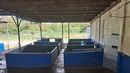 EL matadero de Colón fue inspeccionado por el Minsa. EL matadero de Colón fue inspeccionado por el Minsa.