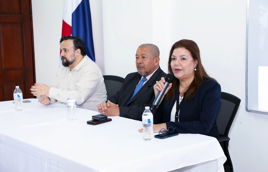 Tribunal Electoral lanza el sitio web PLAGEL 2024