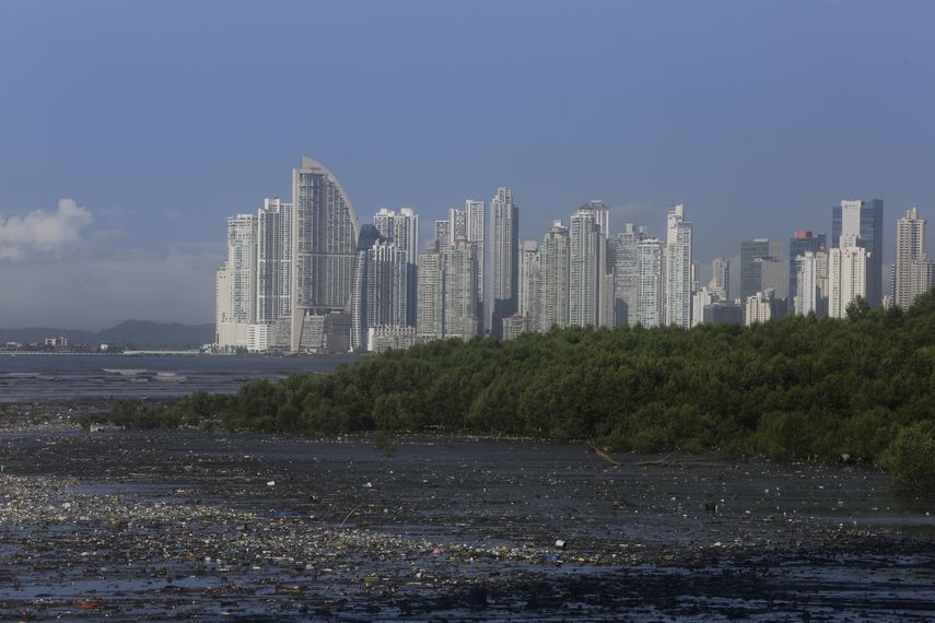 Energías Renovables, IA y manglares, clave para hacer frente a la crisis climática