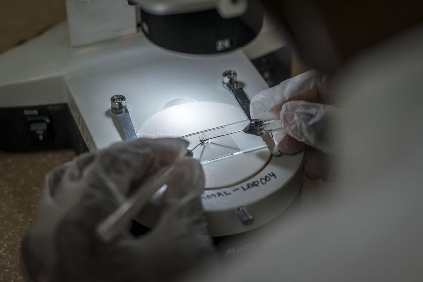 Funcionarios de salud realizan este sábado controles casa por casa en municipios del Caribe de Costa Rica en busca de casos de malaria, tras detectar un brote que ha contagiado a 60 personas.