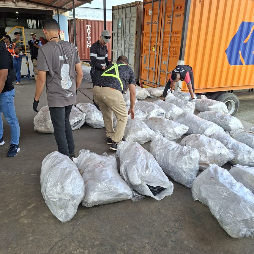 Retienen en Puerto de Manzanillo contenedor con 109 sacos de aletas de tiburón con destino a Malasia