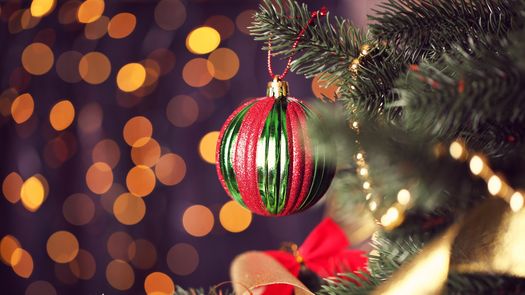 Panamá inicia la Navidad con el encendido del árbol de la Ciudad de las Estrellas