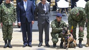 ¡Malas Noticias! Fuerzas Militares en Colombia reconocen que es imposible encontrar a Wilson