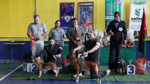 En la actividad organizada por el Minsa hubo jornadas de docencia, demostraciones, se colocaron vacunas antirrábicas y se entregó material informativo sobre el cuidado de las mascotas.